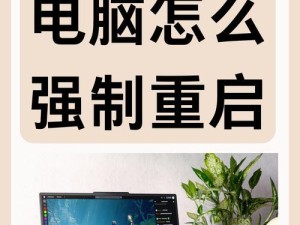 如何通过按键查看电脑内存使用情况（快速了解电脑内存使用情况的方法和技巧）