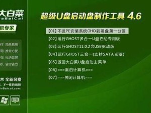 大白菜系统自动安装教程（轻松搭建完善的系统环境）