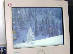 磐正B75性能全面评测（全面解析磐正B75主板的性能表现及特点）