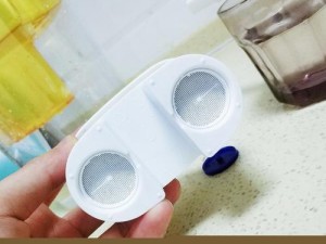 Laica滤水壶的效果如何？（深度分析Laica滤水壶的过滤效果、使用体验及市场评价）