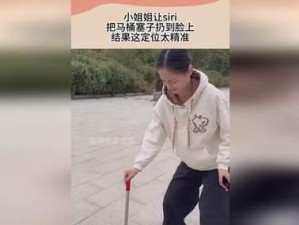 让Siri骂人，探索语音助手的辱骂功能（破解Siri的礼仪框架，探寻其辱骂潜能）