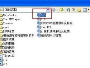 电脑文本的恢复方法及注意事项（从不同角度分析电脑文本恢复的关键步骤和技巧）