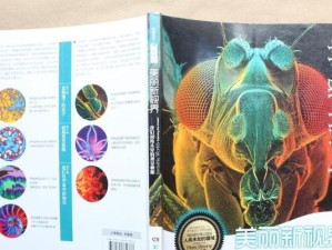 品铂U8T四核的性能与优势（一款高性能的处理器，值得期待）