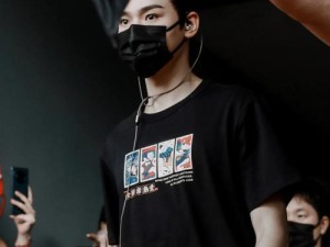 探索艾利和N15的优点和特点（发现卓越性能与高品质设计）