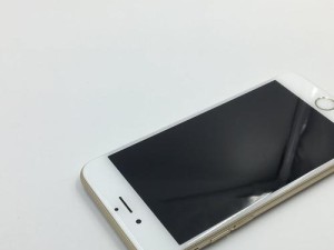 苹果6s全民效果如何？（探究苹果6s在全民中的表现和用户评价）