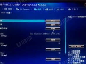 高清修改PE教程（使用简单技巧和工具，让你的照片在高清修图中脱颖而出）